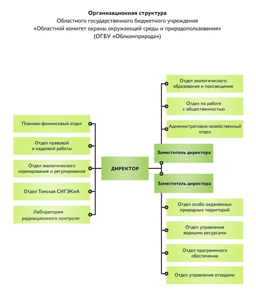 Структура – ОГБУ 